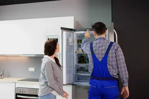 Bahçelievler Dominox Buzdolabı Servisi
